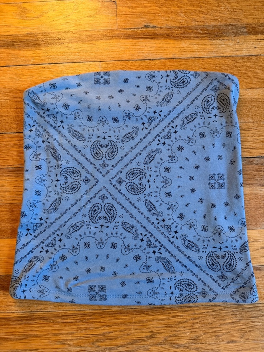 Hip Blue Bandana Paisley Print Tube Top
